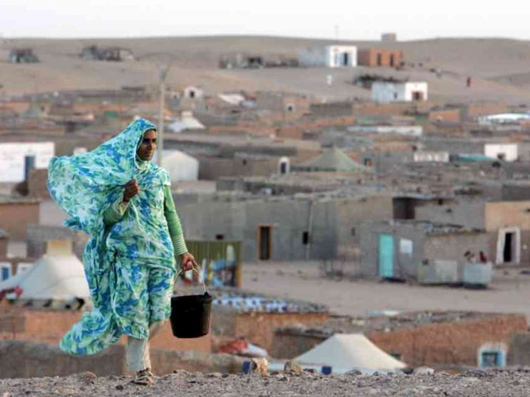 Salah, l'uomo che corre per la causa del popolo Saharawi
