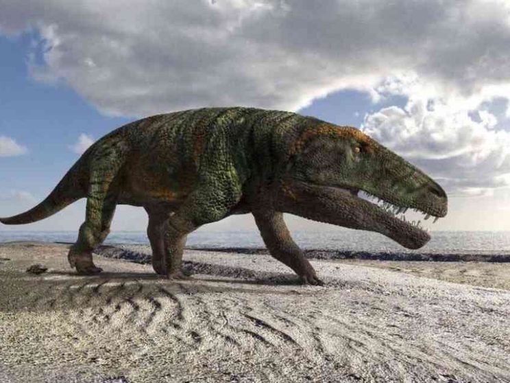 Trovate sulle Alpi cuneesi le orme di un nuovo "coccodrillo" preistorico