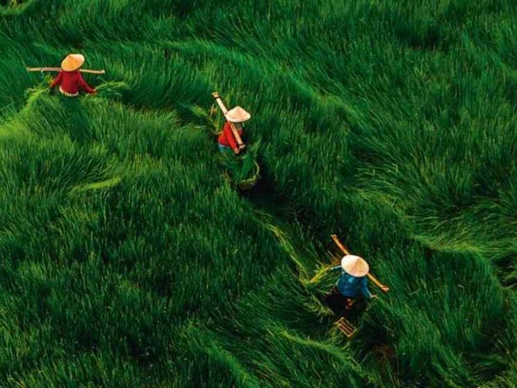 Adamo dove sei? Tra la discarica e il Giardino