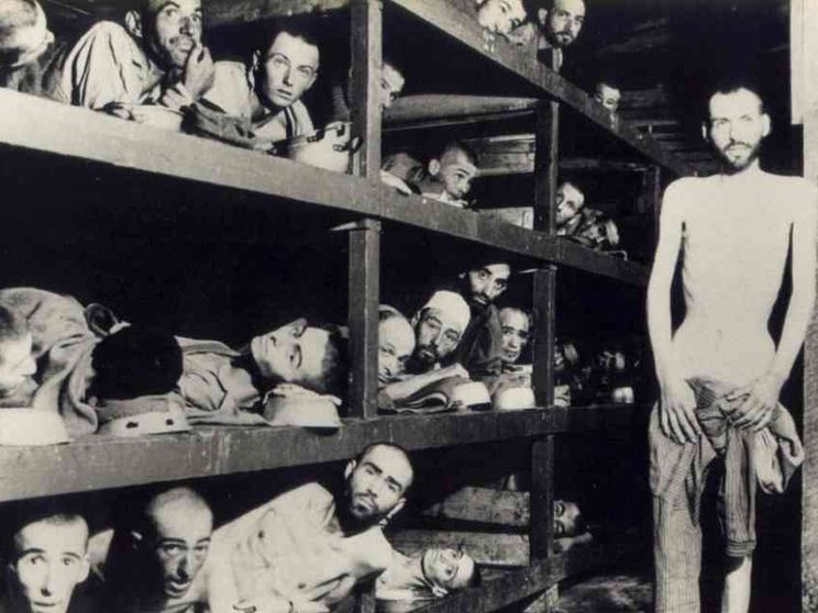 Vive nella letteratura la memoria della Shoah