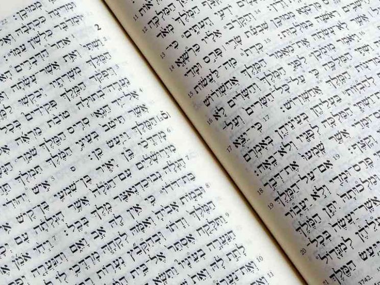 «Ascoltare il Libro e lavorare insieme restando in attesa»