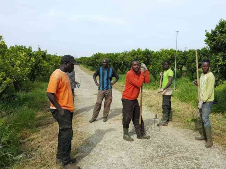 L'ascensore sociale è fermo: una rete per chi resta indietro