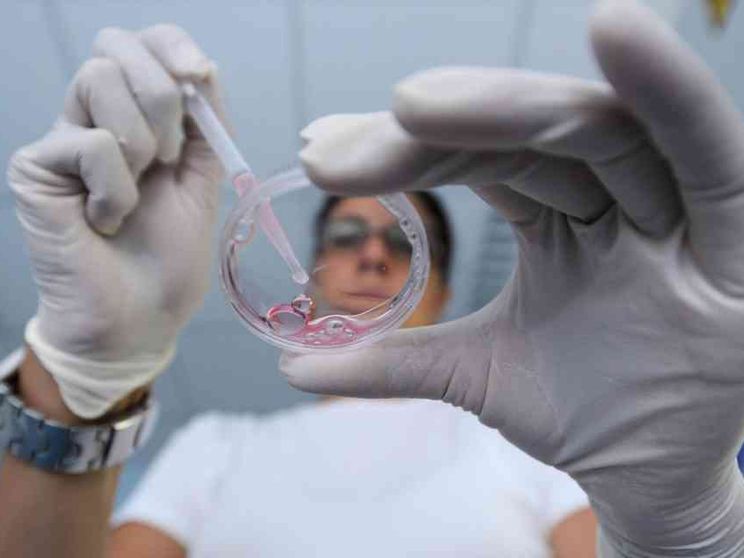 Francia: il Senato boccia la «provetta per tutte» e il «diritto al figlio»