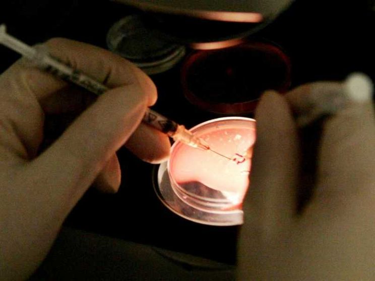 Legge 40, i nuovi dati annuali: 14mila bambini nati con le "tecniche"