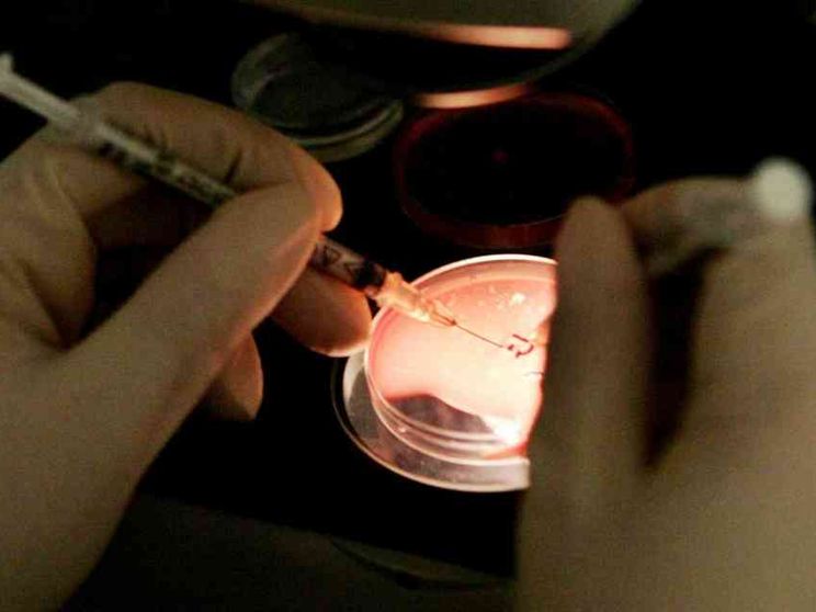 Legge 40, i nuovi dati annuali: 14mila bambini nati con le "tecniche"