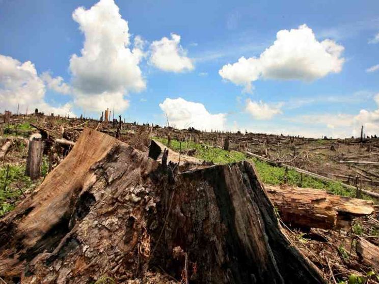Tutelare la vita e la salute a partire dalla difesa del suolo