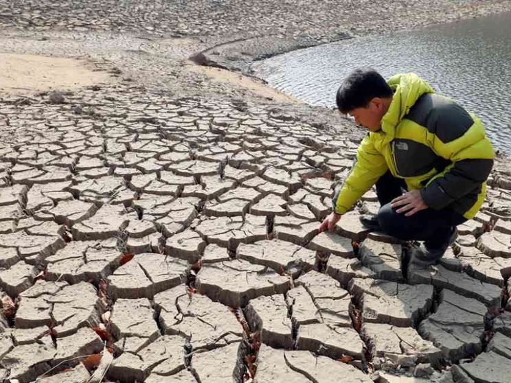 Il Papa: è un dono, non una merce