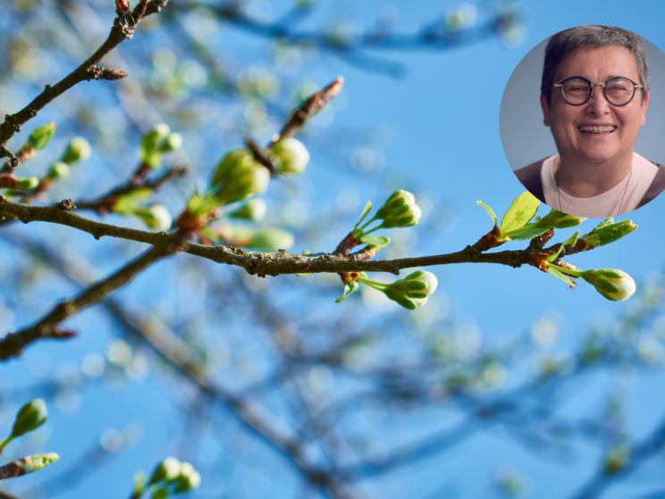 Lʼattesa educativa di nuovi germogli