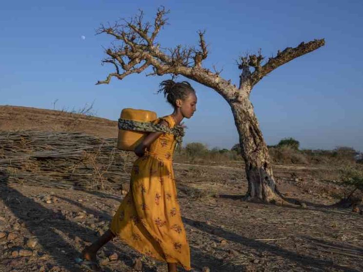 Il premier Abiy annuncia il ritiro delle truppe eritree dal Tigrai