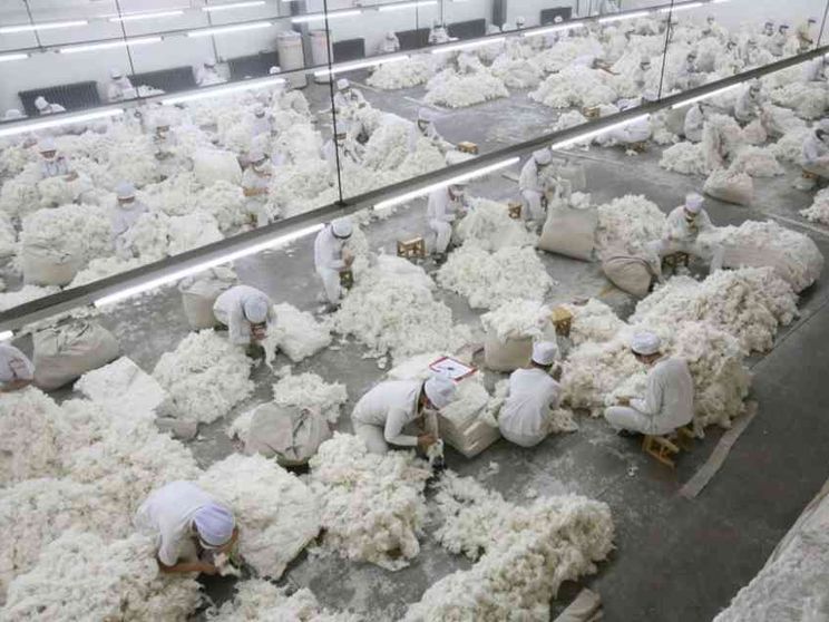 Primo stop in Italia al cotone prodotto dal lavoro forzato degli Uiguri