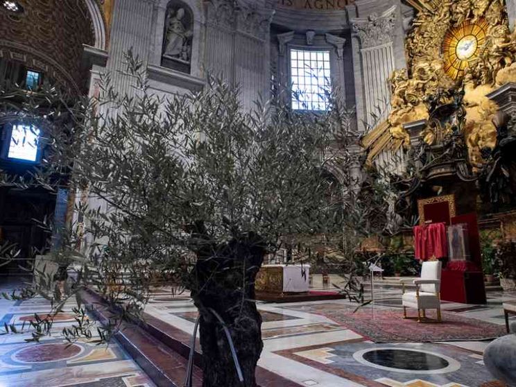 Le Messe in diretta tv e social nella Domenica delle Palme