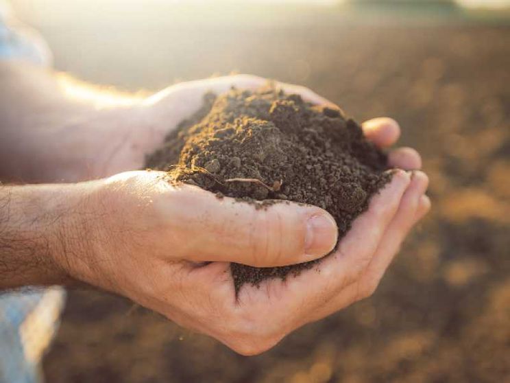 Alla ricerca di personale