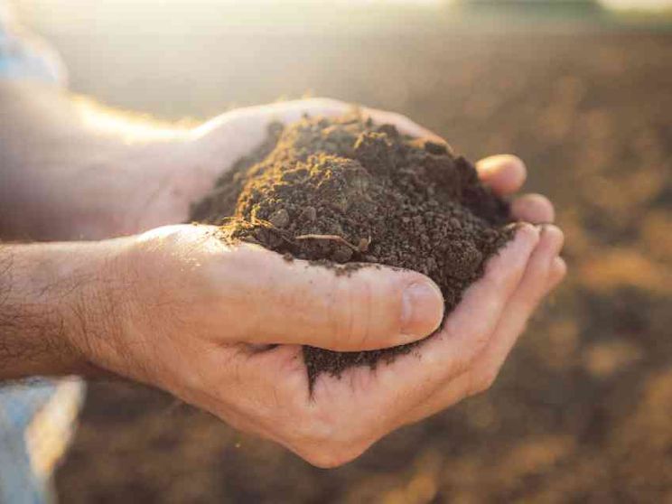 Alla ricerca di personale