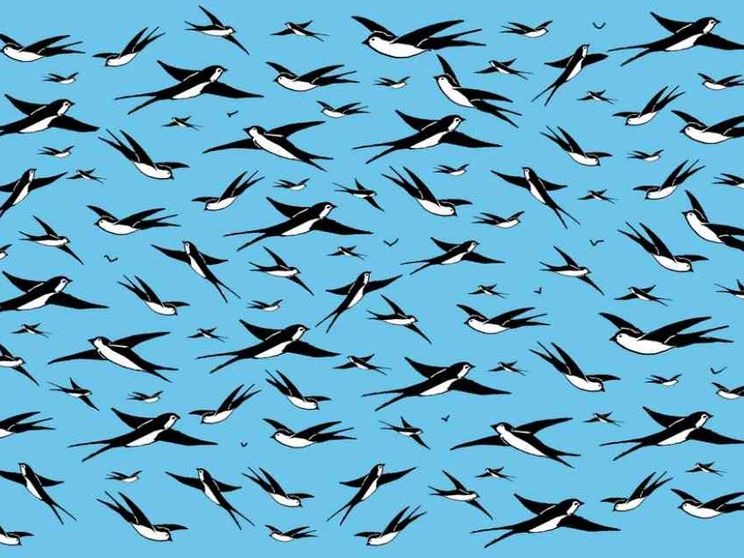 Come cambiare gli stili di vita per prevenire le pandemie