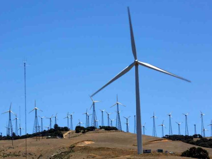 Le rinnovabili sono cresciute anche nell'anno del Covid