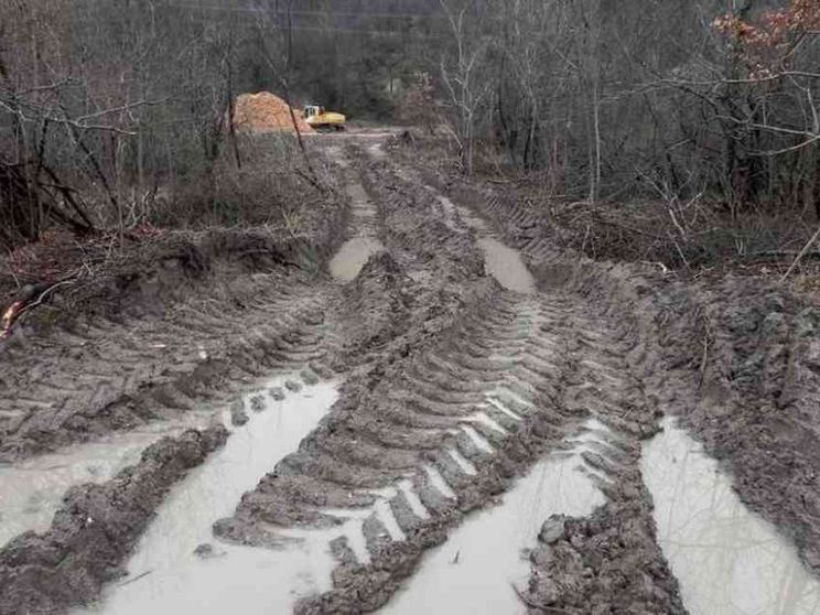 «Nel Pnrr solo lo 0,5% alla tutela dell'ambiente, un decimo della Spagna»