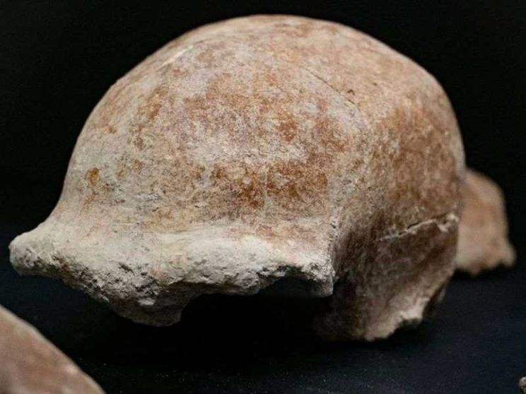 Ritrovati al Circeo reperti fossili di nove uomini di Neanderthal
