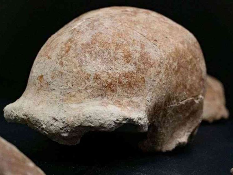 Ritrovati al Circeo reperti fossili di nove uomini di Neanderthal