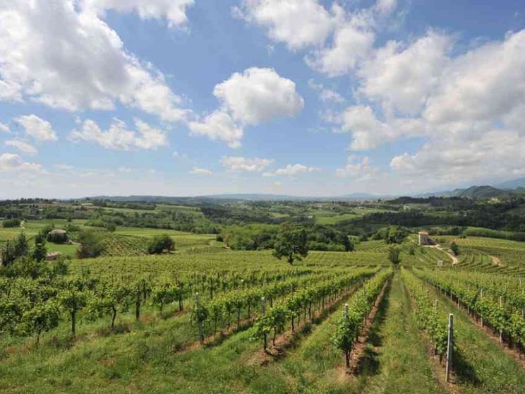 Dall'agricoltura al turismo, la produzione come fatto sociale