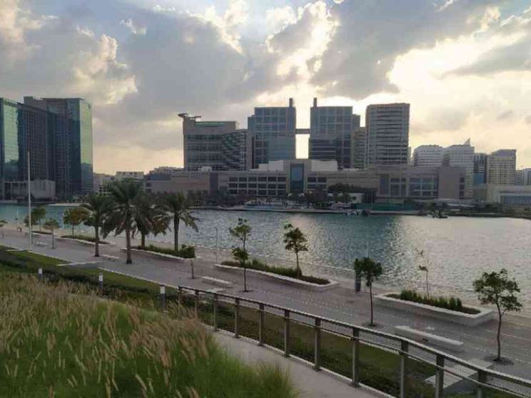 Emirati Arabi, dalle armi alla cooperazione