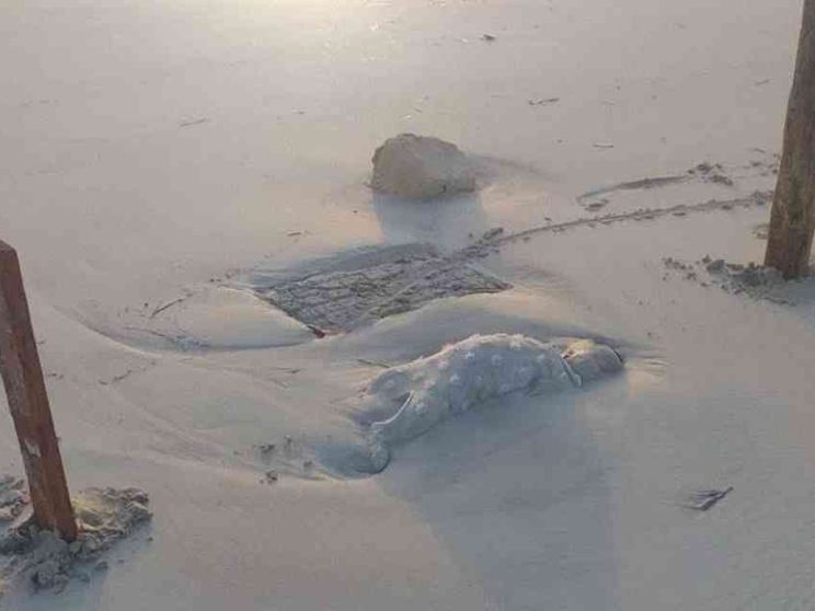 Libia, il mare restituisce i corpi dei piccoli migranti
