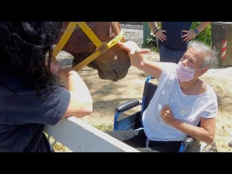 «Dal Covid si può uscire. A cavallo»