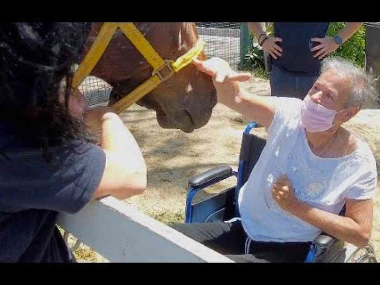 «Dal Covid si può uscire. A cavallo»