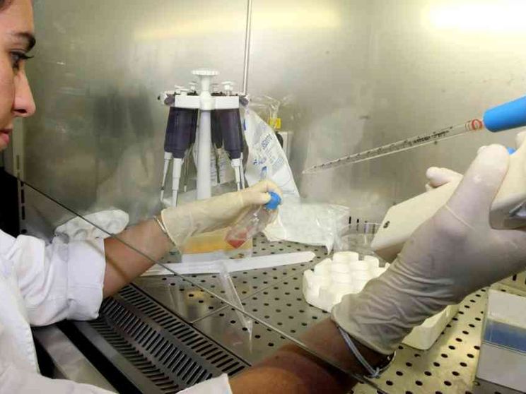 Embrioni umani, se 14 giorni sembrano pochi