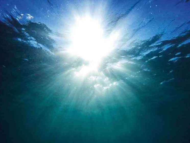 Difendere la salute dell'oceano ci aiuterà a salvare il pianeta