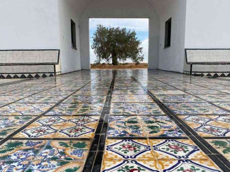 Un giardino d'Africa e l'ulivo della pace in memoria dei morti nel Mediterraneo