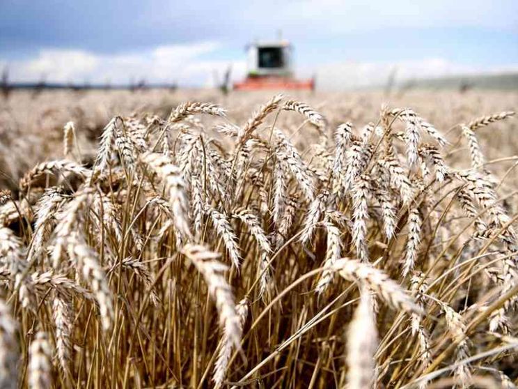 Sulla biodinamica si gioca una scelta di campo