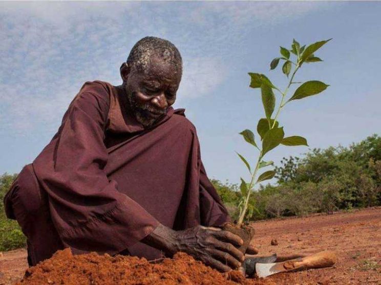 La tenacia di Sawadogo, l’uomo che ha salvato i frutti della sua terra