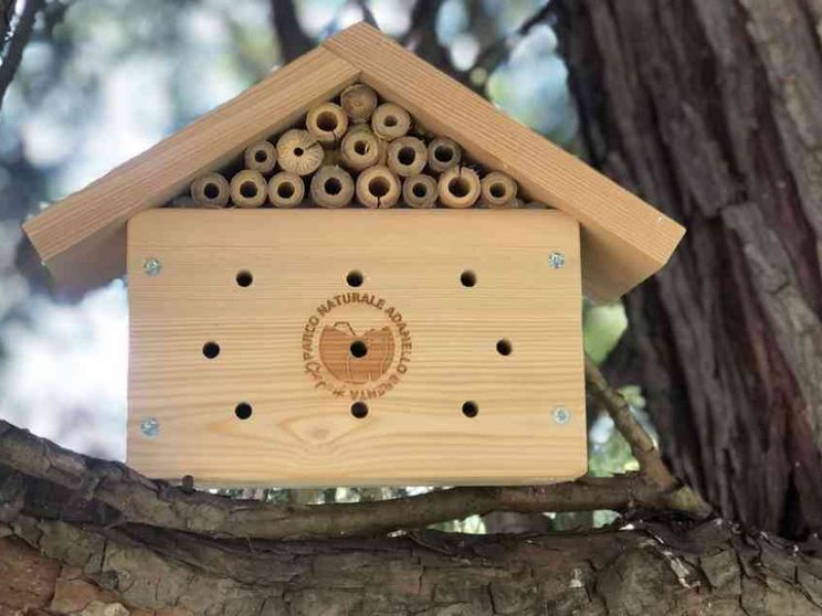 Allarme estinzione: per salvarle, ecco gli hotel delle api