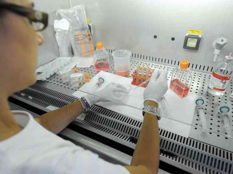 Fa discutere la «bioetica alla francese»: provetta per tutte, embrioni ibride