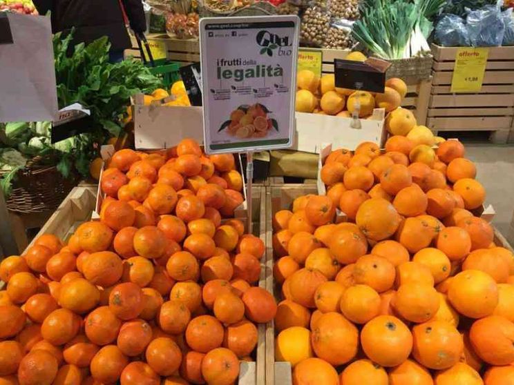 Il Pnrr riconosce la capacità trasformativa del Terzo settore