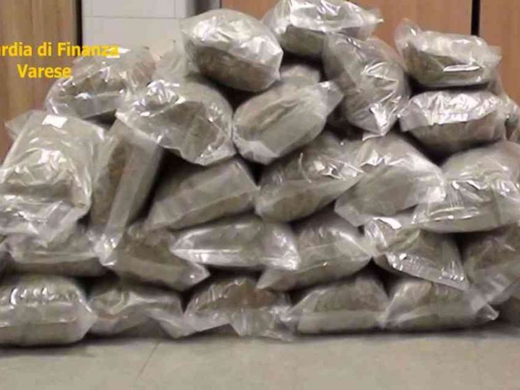 Droga, il governo ascolta le comunità. Nuove regole e conferenza nazionale