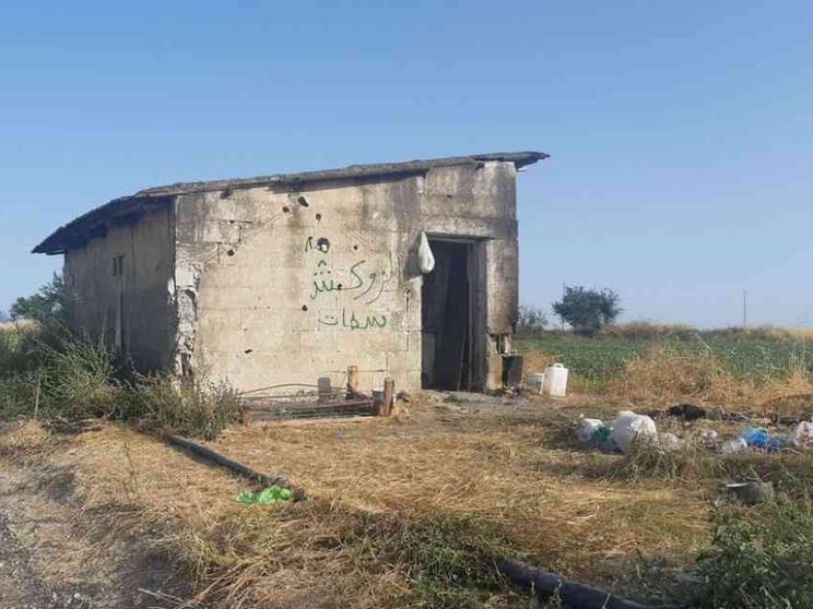 Gli invisibili delle insalate in busta