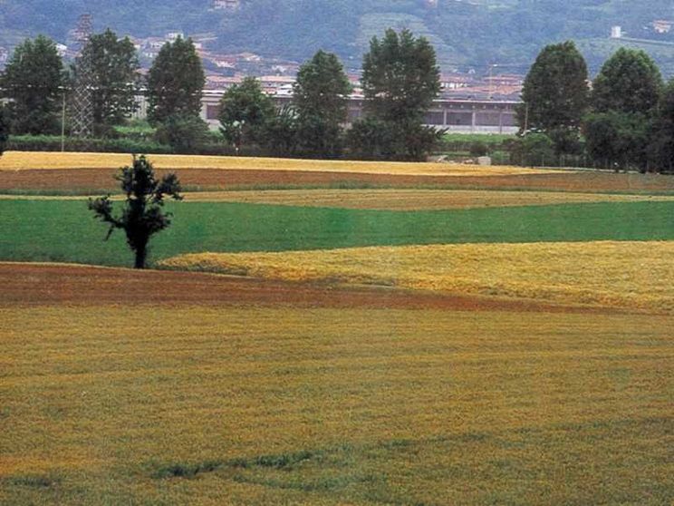 Prandini: biometano agricolo risorsa verde dai campi