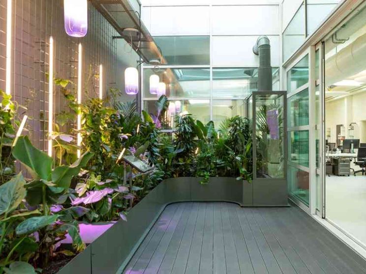 Ecco la Fabbrica dell'Aria (pulita) per farci respirare con le piante