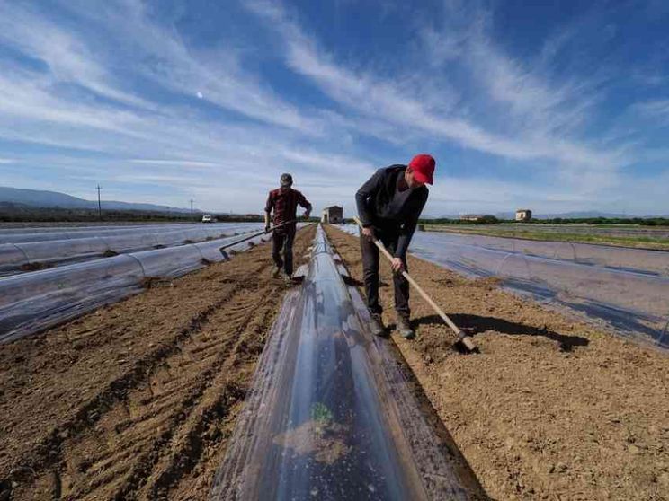 Immigrati, il lavoro per integrare