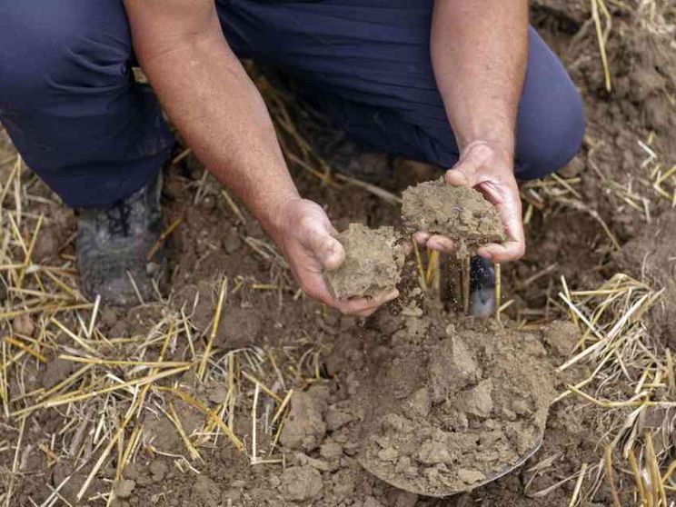 Pre-summit Onu sul cibo, le critiche delle Ong