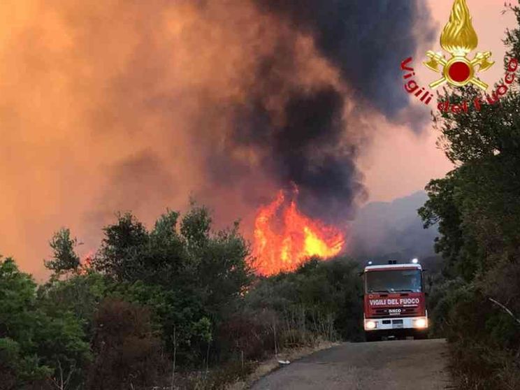 Imparando a salvare i boschi salviamo noi stessi