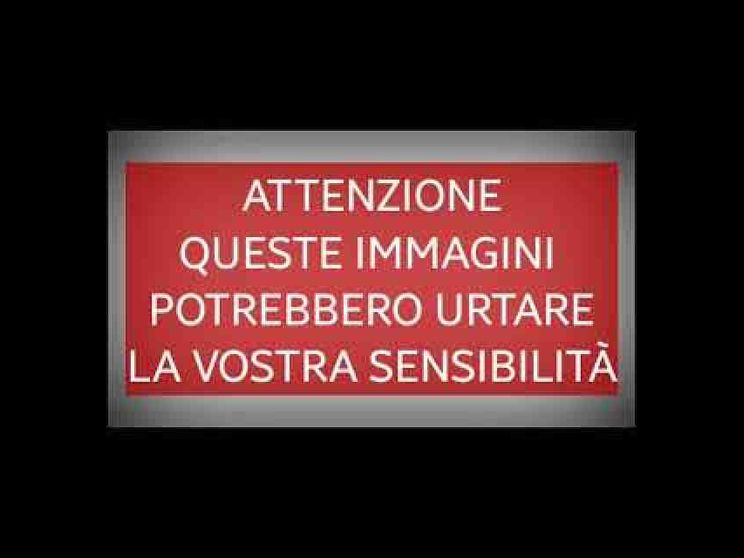 Le ragazze sommerse e i pescatori: le immagini choc di un naufragio fantasma