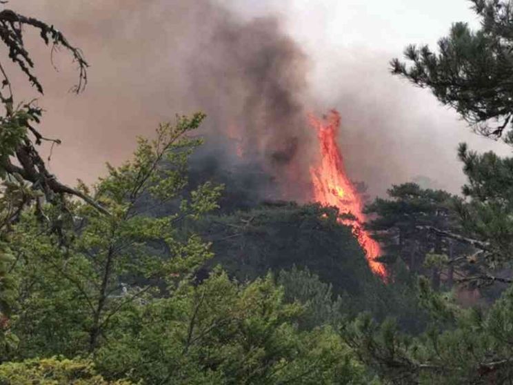 Vent’anni fa gli incendi erano crollati del 90%, il modello dimenticato