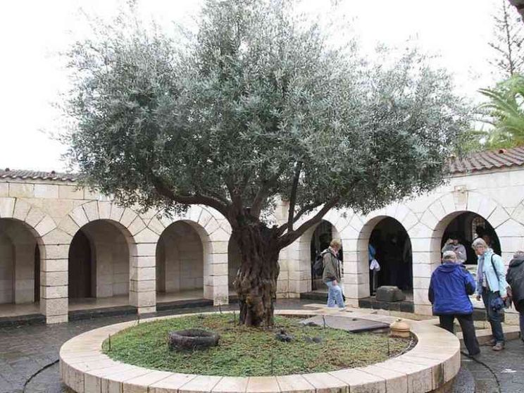 Vandali rubano una croce vicino al Monastero dei benedettini a Tabgha