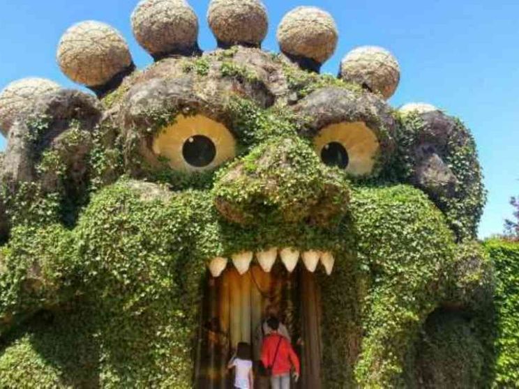 Le piante alleate dell'umanità nella sfida per salvare la Terra