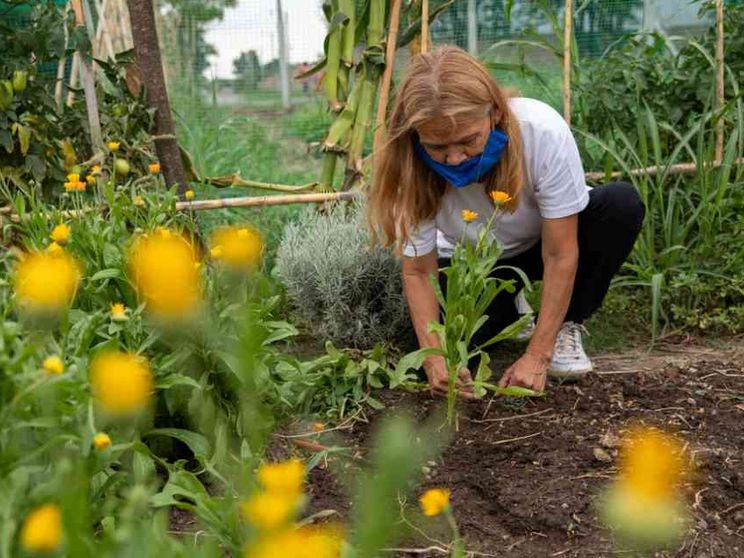 Rosario, la "capitale" dei disoccupati rinata con gli orti urbani