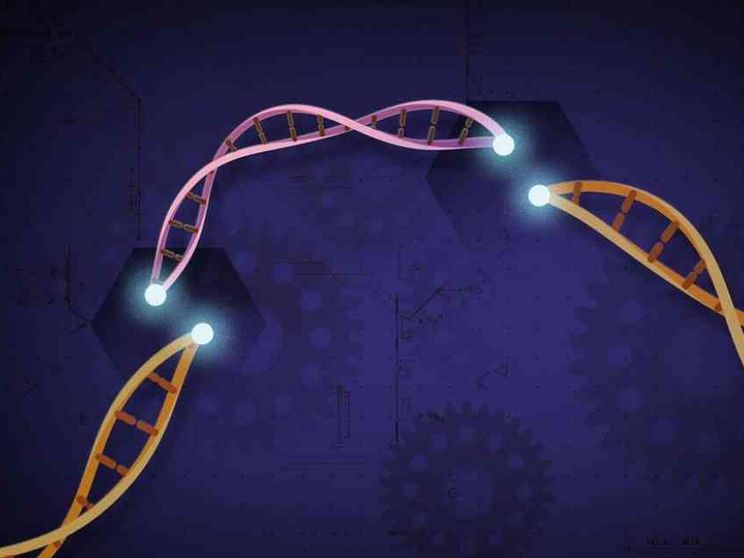 Editing genetico, le sfide etiche delle cure con la tecnica Crispr