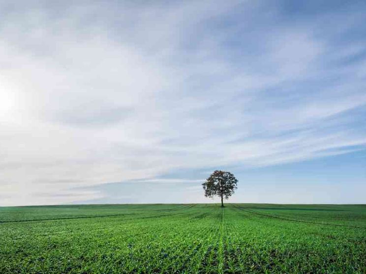 Ma quella Stella dell'ecologia non brilla più come all'alba