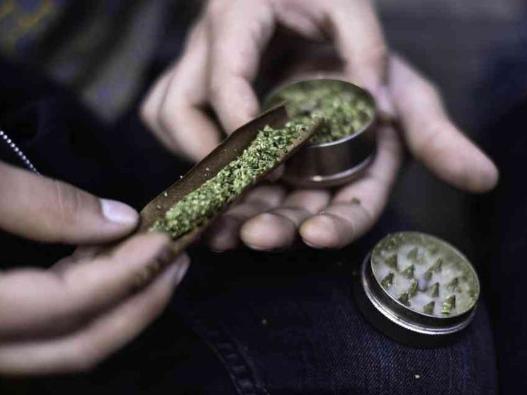 Perché legalizzare la cannabis non fermerebbe la criminalità